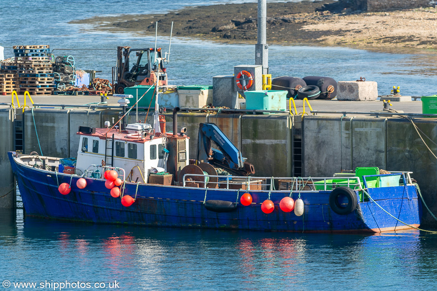 Photograph of the vessel  Flamborough Light pictured at Stromness on 17th May 2024