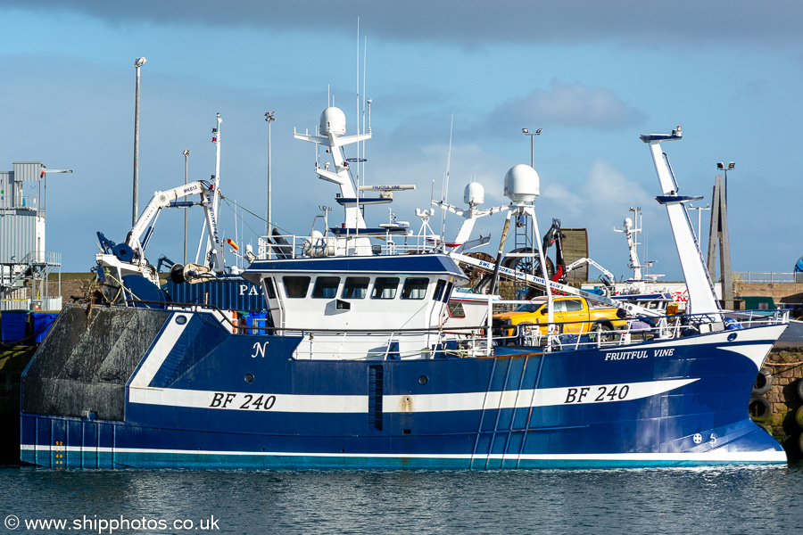 Photograph of the vessel fv Fruitful Vine pictured at Peterhead on 12th September 2024