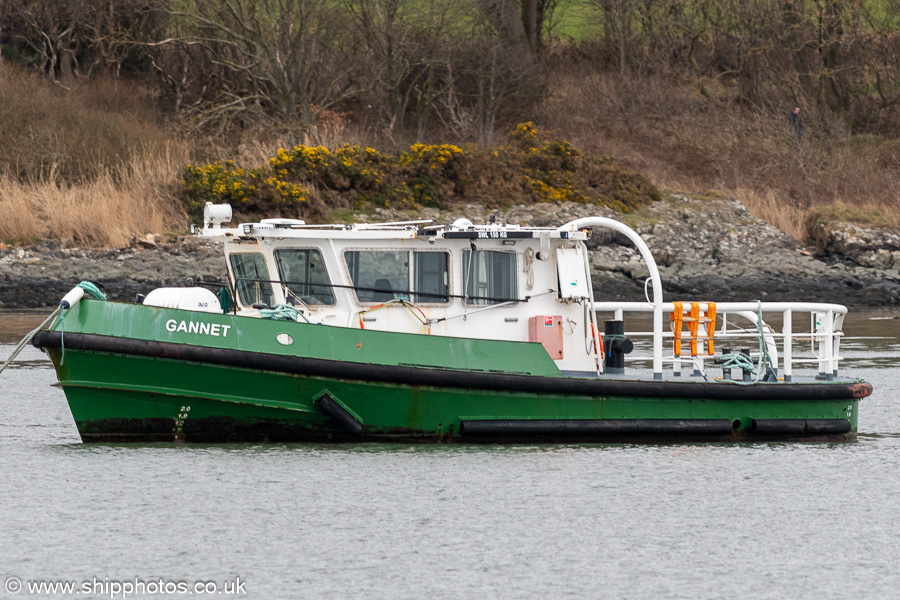 Photograph of the vessel  Gannet pictured at Hound Point on 16th March 2025