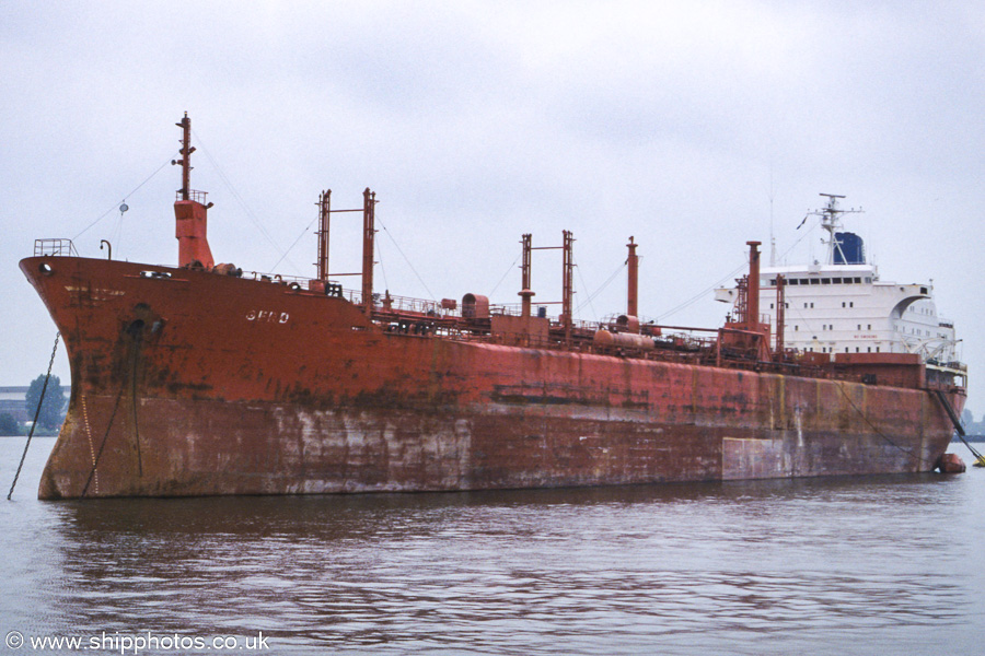 Photograph of the vessel  Gerd pictured laid up on the IJ at Amsterdam on 16th June 2002