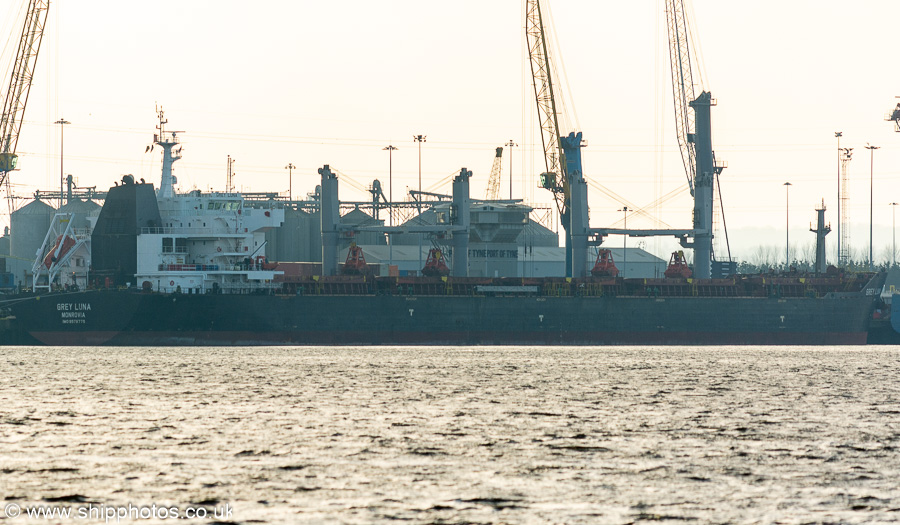 Photograph of the vessel  Grey Luna pictured at South Shields on 1st February 2025