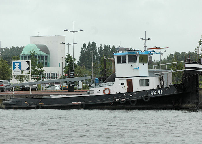 Photograph of the vessel  Haai pictured in Maashaven, Rotterdam on 20th June 2010