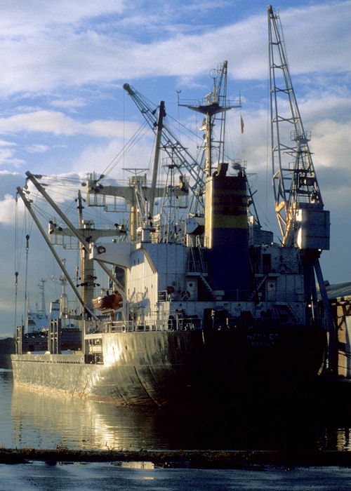 Photograph of the vessel  Hamlet pictured in Liverpool Docks on 18th November 1996