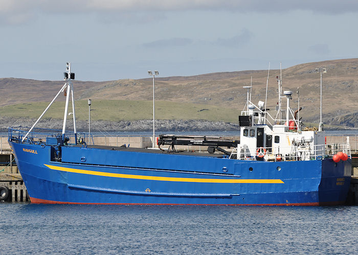  Havgull pictured at Symbister on 12th May 2013
