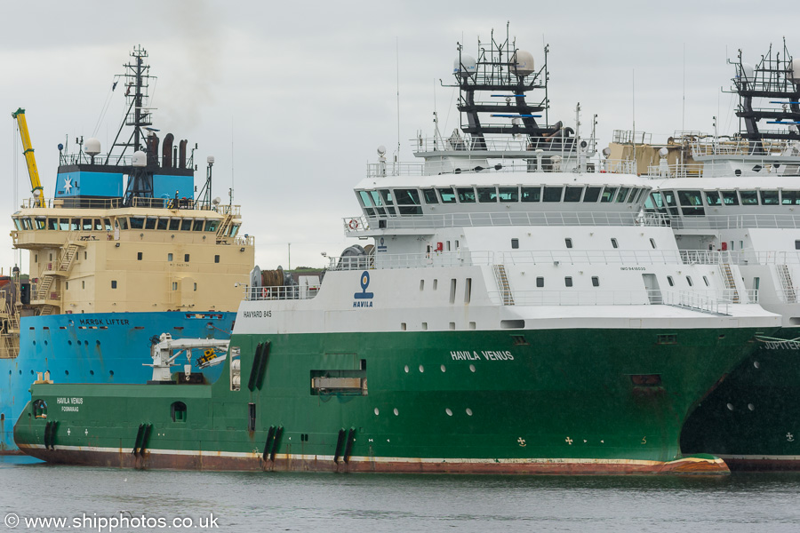 Photograph of the vessel  Havila Venus pictured at Montrose on 27th May 2019