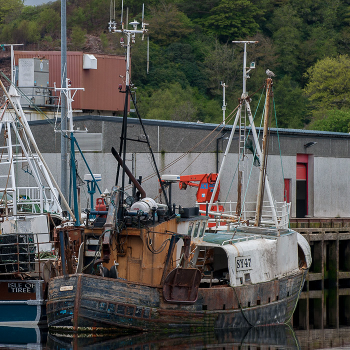 Photograph of the vessel fv Heather Isle M pictured at Stornoway on 8th May 2014