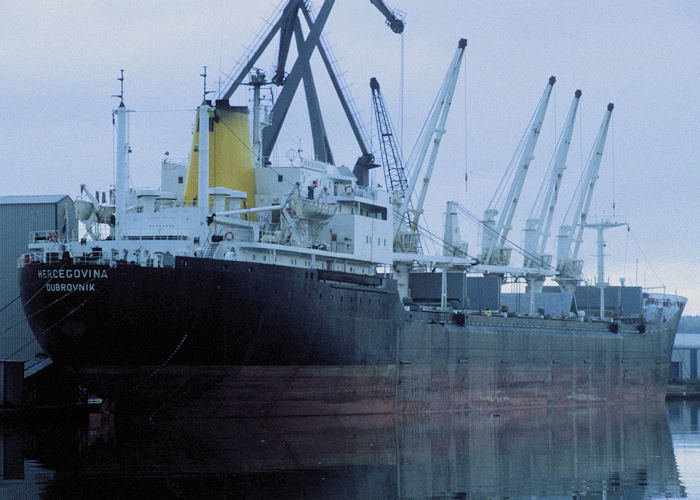 Photograph of the vessel  Hercegovina pictured in the West Float, Birkenhead on 16th November 1996