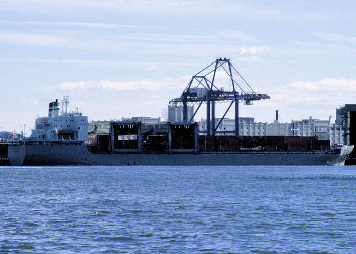 Photograph of the vessel  Hoegh Miranda pictured at New York on 18th September 1994