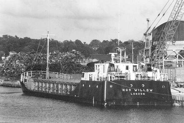 Photograph of the vessel  Hoo Willow pictured in Southampton on 21st June 1991