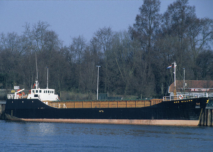 Photograph of the vessel  Hoo Willow pictured at Parkkade, Rotterdam on 14th April 1996