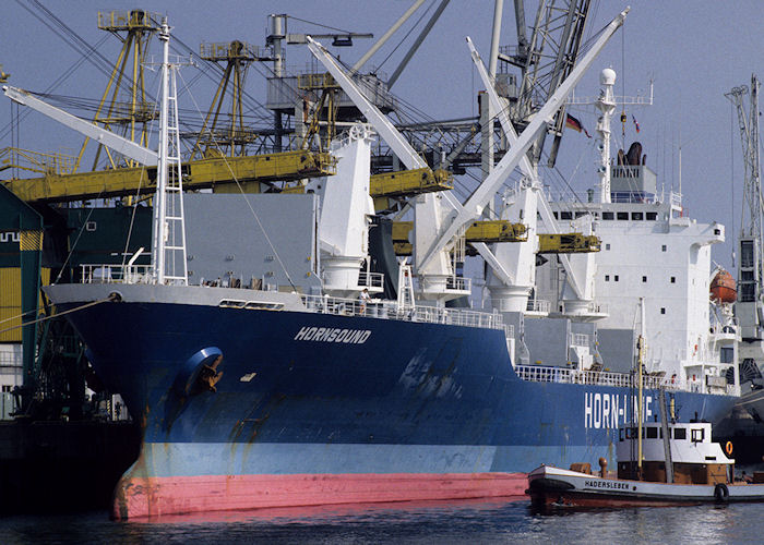 Photograph of the vessel  Hornsound pictured at Hamburg on 21st August 1995