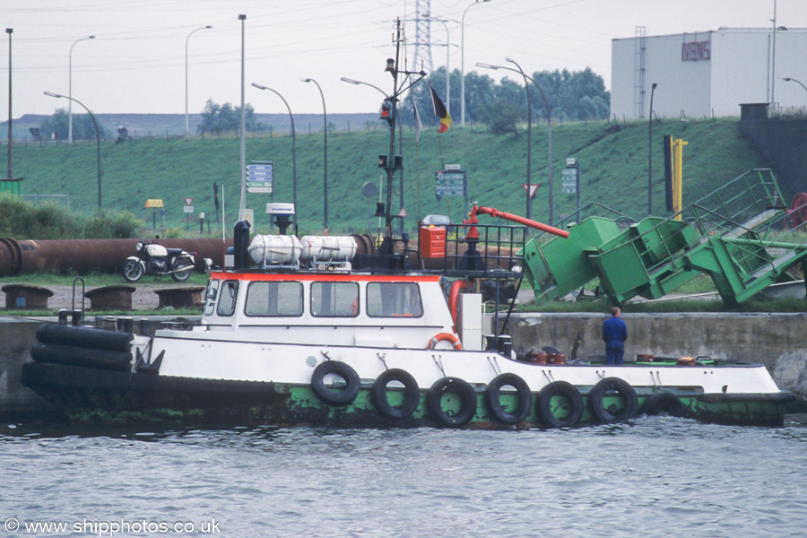 Photograph of the vessel  Ibis pictured in Kanaldok B2, Antwerp on 20th June 2002