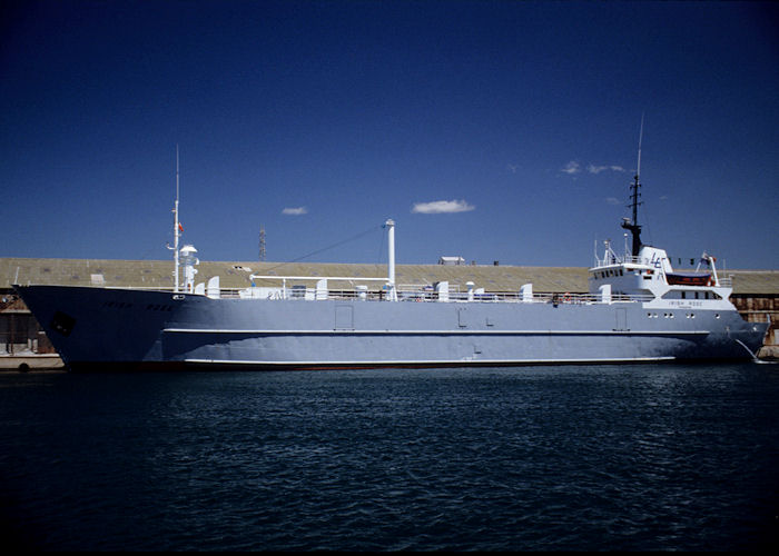  Irish Rose pictured at Sète on 8th July 1990