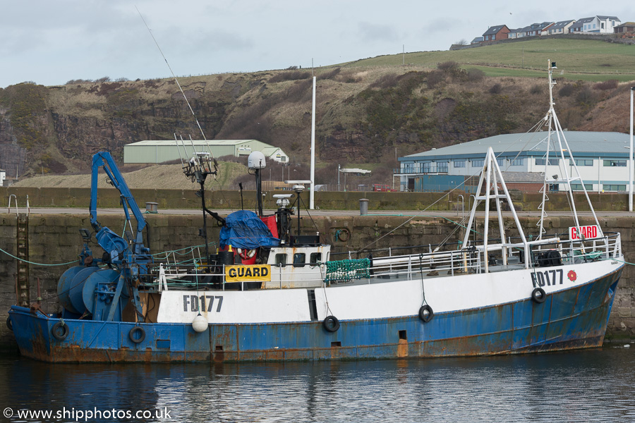 Photograph of the vessel fv Isadale pictured at Whitehaven on 8th March 2015