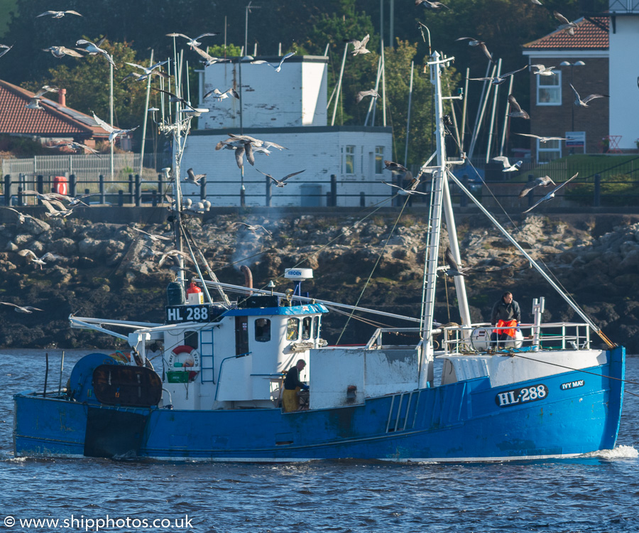 Photograph of the vessel fv Ivy May pictured passing North Shields on 21st September 2019