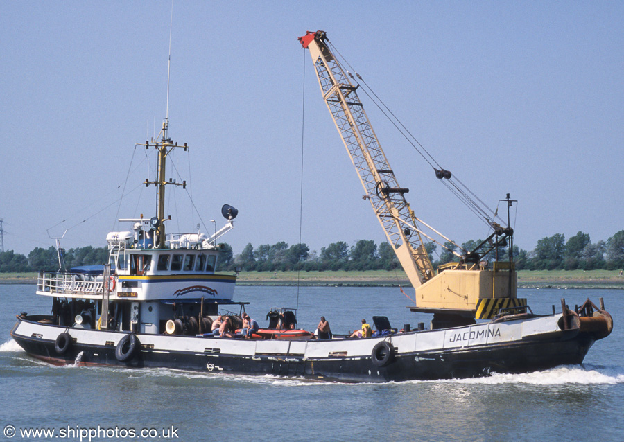 Photograph of the vessel  Jacomina pictured on the Nieuwe Waterweg on 17th June 2002