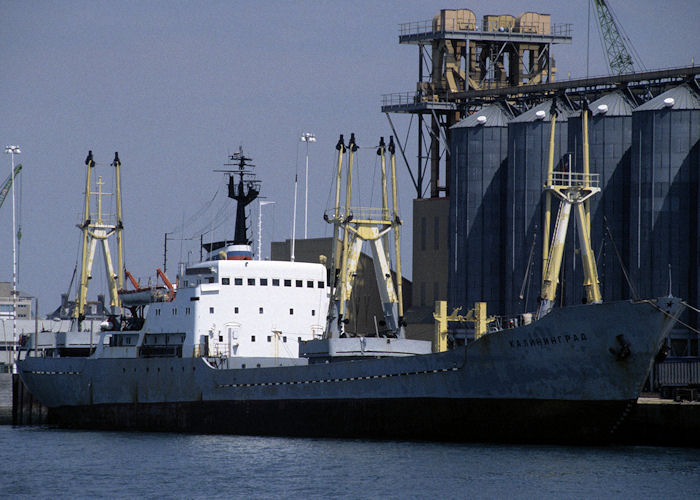 Photograph of the vessel  Kaliningrad pictured in Southampton on 21st July 1996