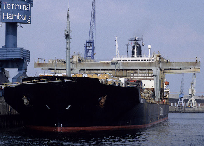 Photograph of the vessel  Larkfield pictured in Hamburg on 21st August 1995