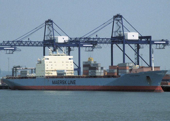  Laust Mærsk pictured at Felixstowe on 10th June 1997