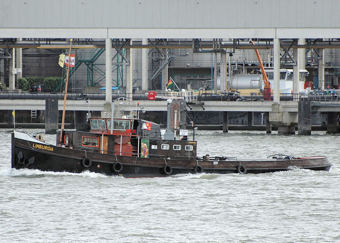 Photograph of the vessel  Limburgia pictured passing Vlaardingen on 19th June 2010