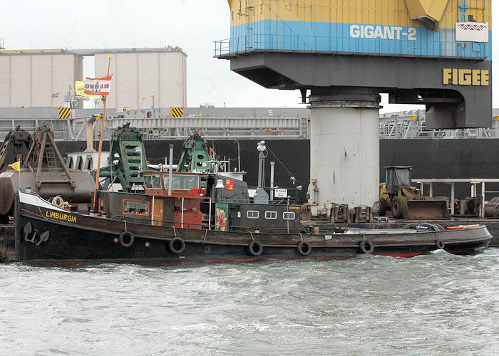 Photograph of the vessel  Limburgia pictured in Beneluxhaven, Europoort on 20th June 2010