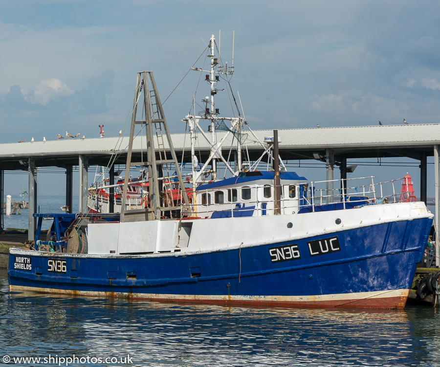 Photograph of the vessel fv Luc pictured at the Fish Quay, North Shields on 27th May 2017