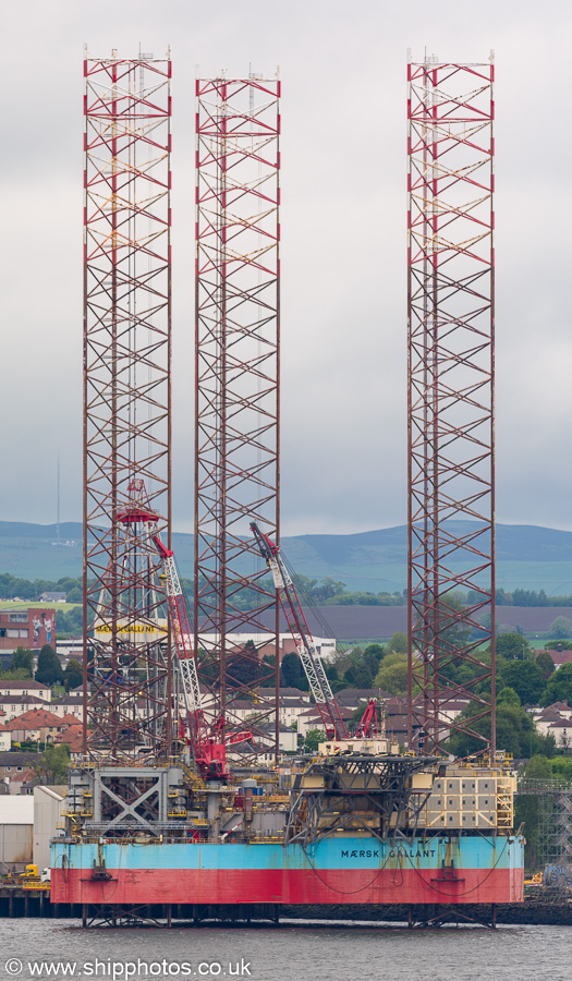 Photograph of the vessel  Mærsk Gallant pictured at Dundee on 31st May 2019