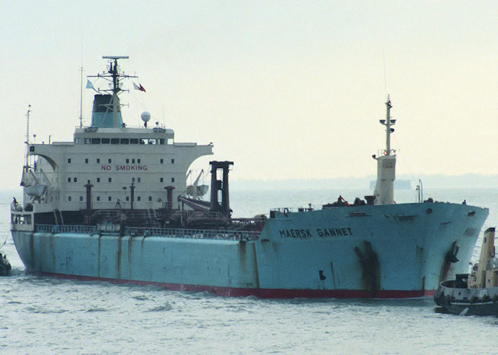 Photograph of the vessel  Maersk Gannet pictured arriving in Portsmouth Harbour on 26th October 1988
