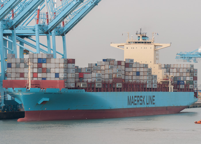 Maersk Salalah pictured at Zeebrugge on 19th July 2014