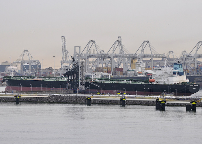 Photograph of the vessel  Maran Poseidon pictured at 8e Petroleumhaven, Europoort on 26th June 2012