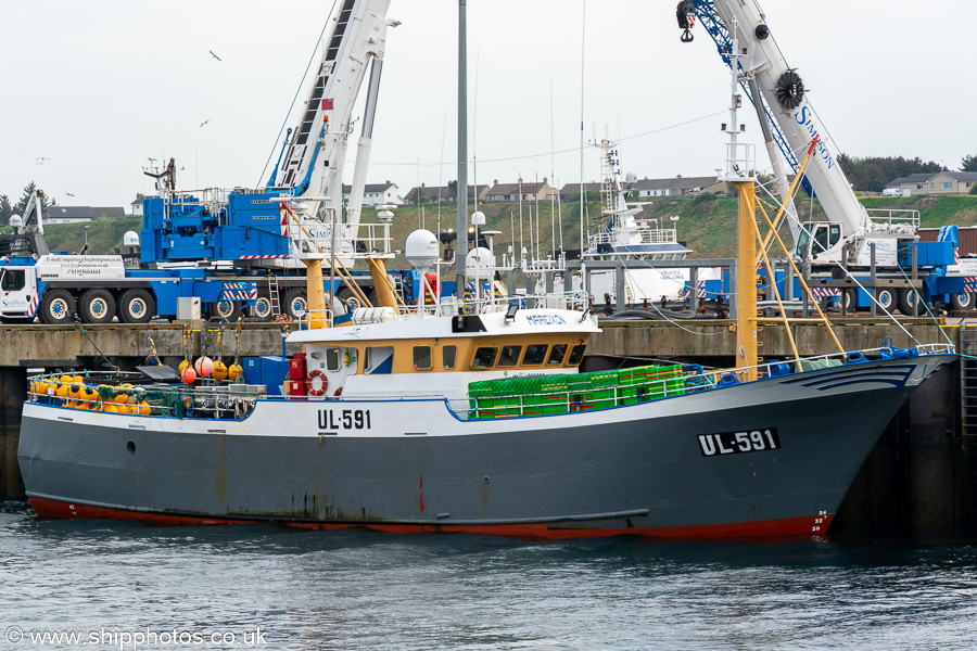 Photograph of the vessel fv Mareixon pictured at Scrabster on 12th May 2024