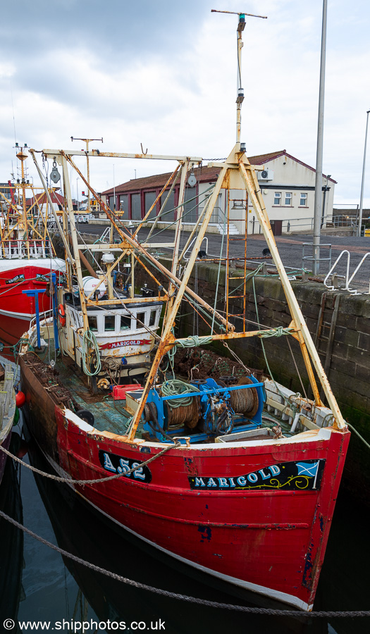 Photograph of the vessel fv Marigold pictured at Arbroath on 22nd May 2022