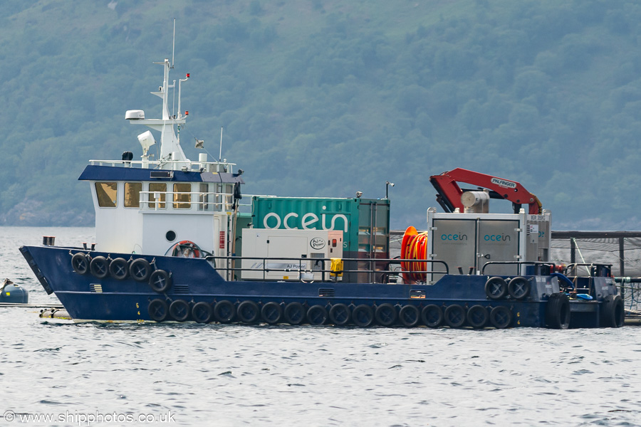 Photograph of the vessel  Mary Ann pictured on Loch Fyne on 20th May 2024