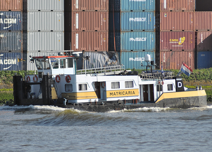 Photograph of the vessel  Matricaria pictured on the Nieuwe Maas on 26th June 2011