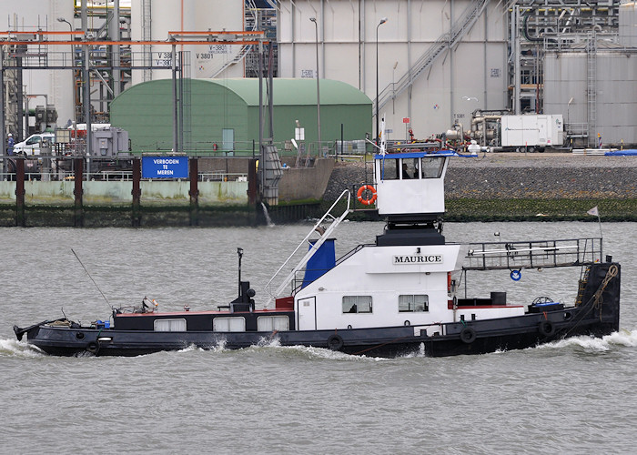 Photograph of the vessel  Maurice pictured passing Vlaardingen on 25th June 2012