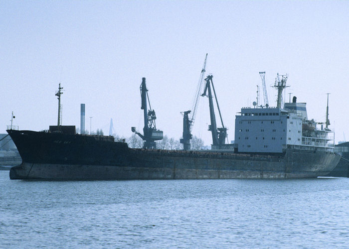 Photograph of the vessel  Med Sky pictured laid up in Waalhaven, Rotterdam on 14th April 1996