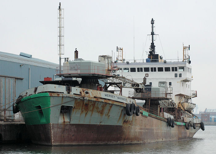 Photograph of the vessel  Mersey Mariner pictured in Liverpool Docks on 27th June 2009