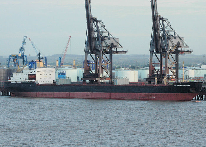 Photograph of the vessel  Mikhail Strekalovskiy pictured at Immingham Bulk Terminal on 18th June 2010