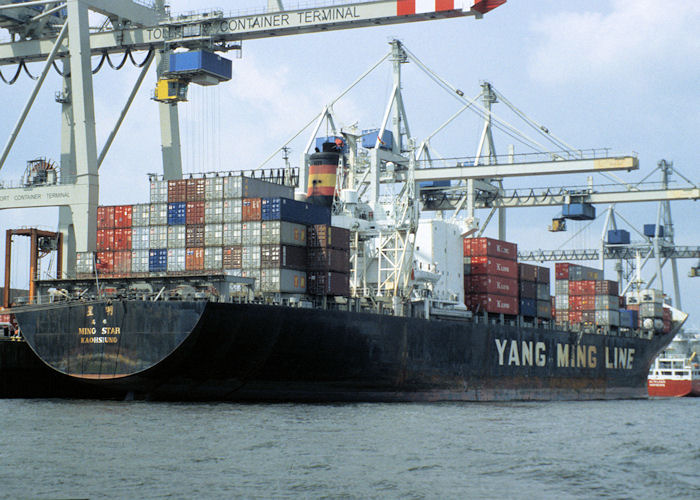 Photograph of the vessel  Ming Star pictured at Hamburg on 9th June 1997