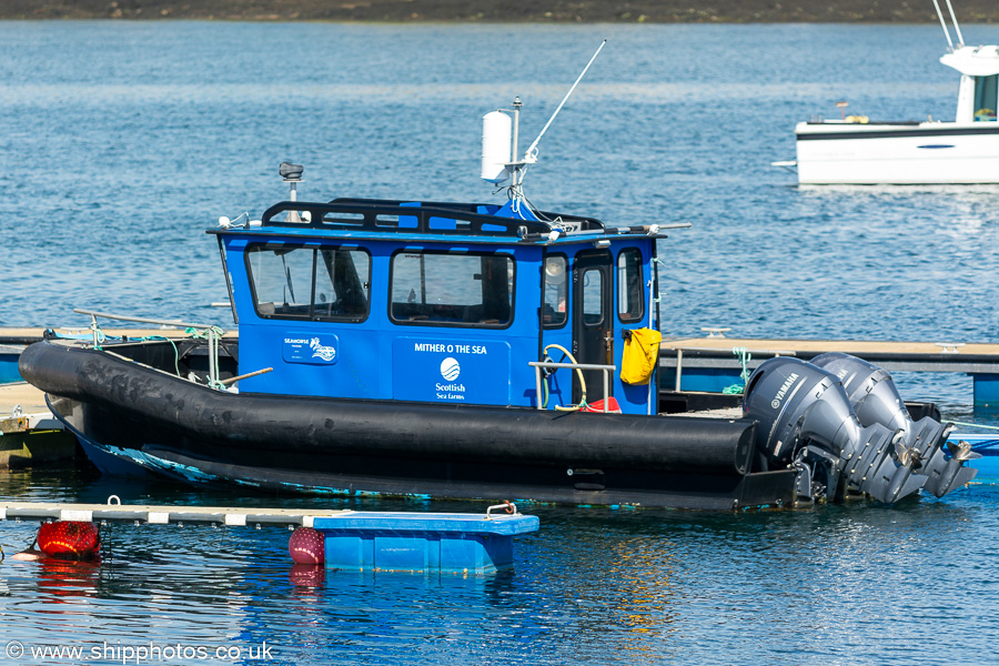 Photograph of the vessel  Mither o the Sea pictured at Stromness on 17th May 2024