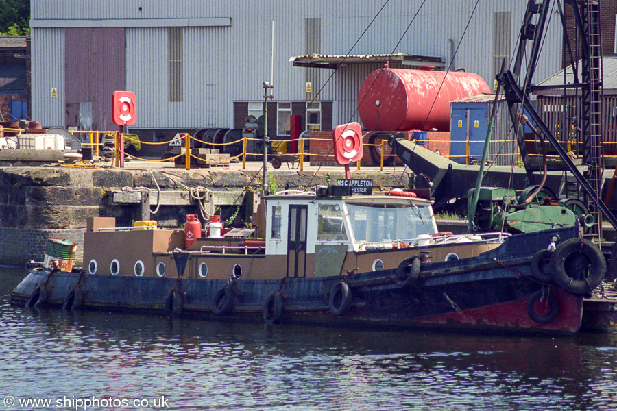 Photograph of the vessel  MSC Appleton pictured at Runcorn on 27th July 2002
