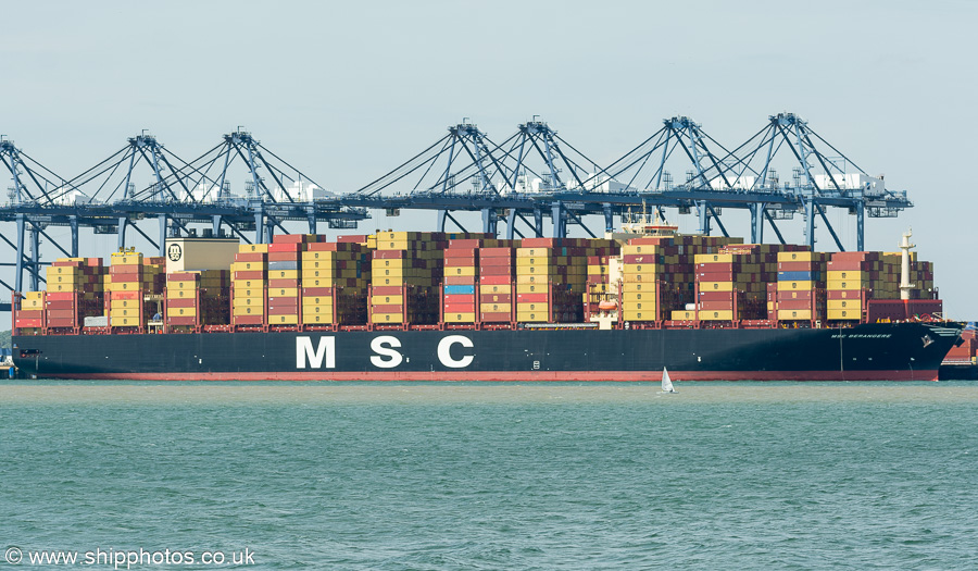 Photograph of the vessel  MSC Berangere pictured at Trinity Terminal, Felixstowe on 15th August 2024