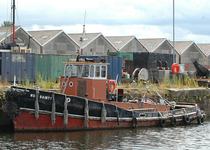 Photograph of the vessel  MSC Dainty pictured at Runcorn on 31st July 2010