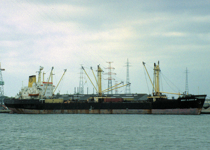 Photograph of the vessel  MSC Ilaria M pictured in Antwerp on 19th April 1997
