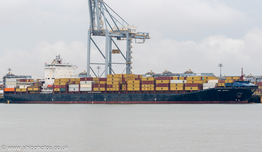 Photograph of the vessel  MSC Jersey pictured at London Gateway on 19th July 2025