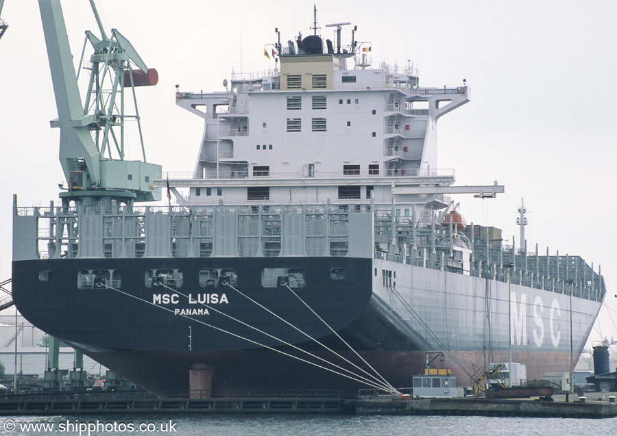 Photograph of the vessel  MSC Luisa pictured dry docked in Antwerp on 20th June 2002