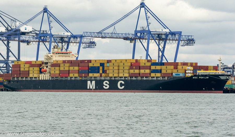 Photograph of the vessel  MSC Poh Lin pictured at Trinity Terminal, Felixstowe on 16th August 2024