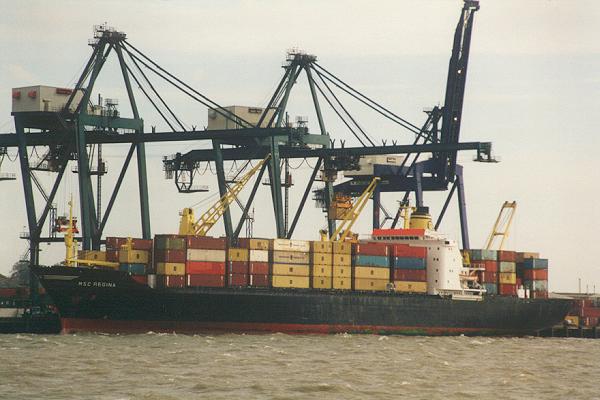Photograph of the vessel  MSC Regina pictured in Felixstowe on 6th October 1995