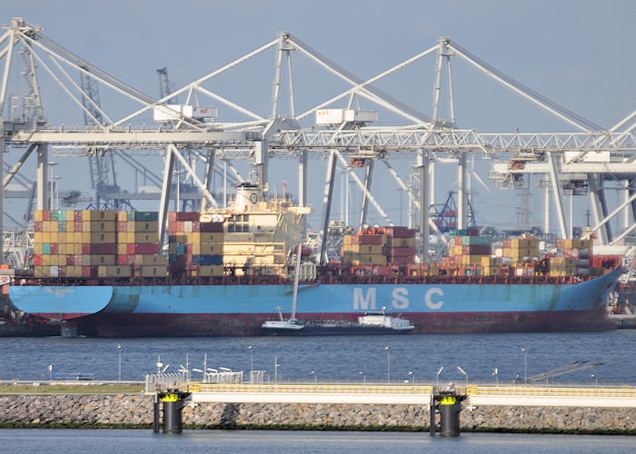 Photograph of the vessel  MSC Sariska pictured in Europahaven, Europoort on 24th June 2011