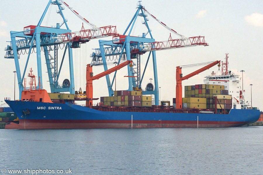 Photograph of the vessel  MSC Sintra pictured in Royal Seaforth Dock, Liverpool on 14th June 2003